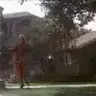 Rays_Yard