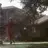 Rays_Yard