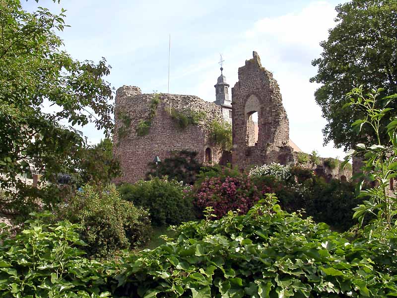 Burg_Dreieich-42-800.jpg