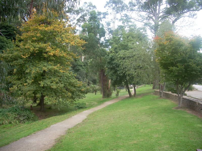 DSCN0137.jpg