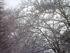 Outdoors_68_by_OsenahStock.jpg